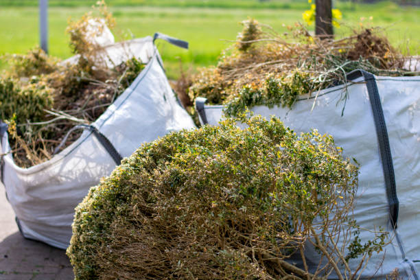 Best Dumpster Rental Services  in Canby, OR